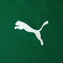 Camisa Puma Palmeiras 2026/27 I Jogador